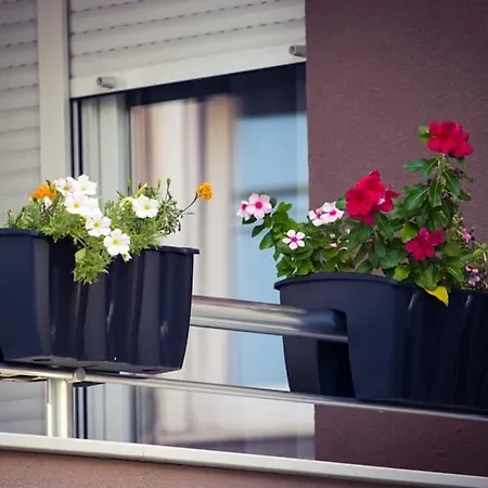 & Zaad Free Private Parking *